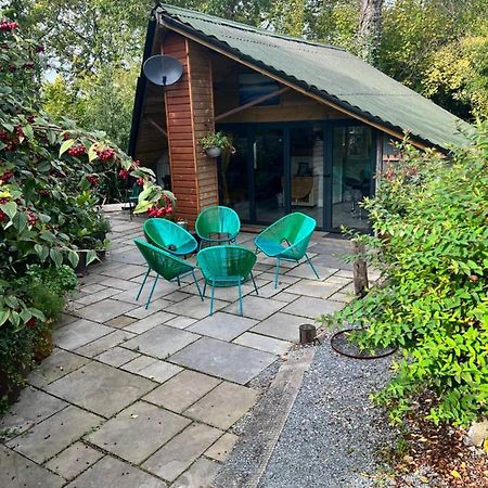 The Shed . A Cosy, Peaceful, 96% Recycled, Chalet. Суонси Экстерьер фото