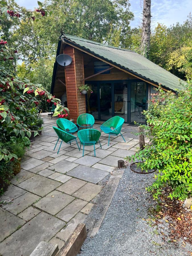 The Shed . A Cosy, Peaceful, 96% Recycled, Chalet. Суонси Экстерьер фото